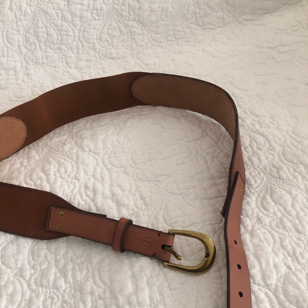Fossil belt